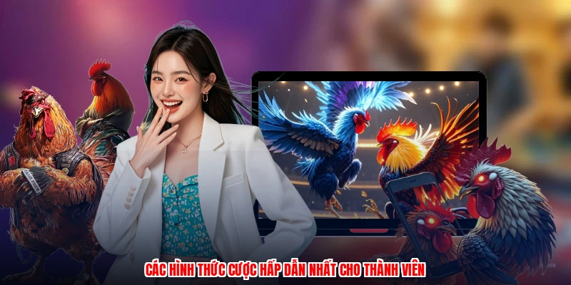 Các hình thức cược hấp dẫn nhất cho thành viên