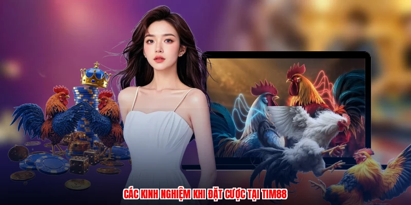 Các kinh nghiệm khi đặt cược tại thương hiệu
