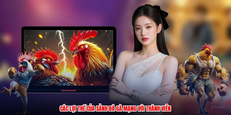 Các lợi thế của sảnh đá gà mạng với thành viên