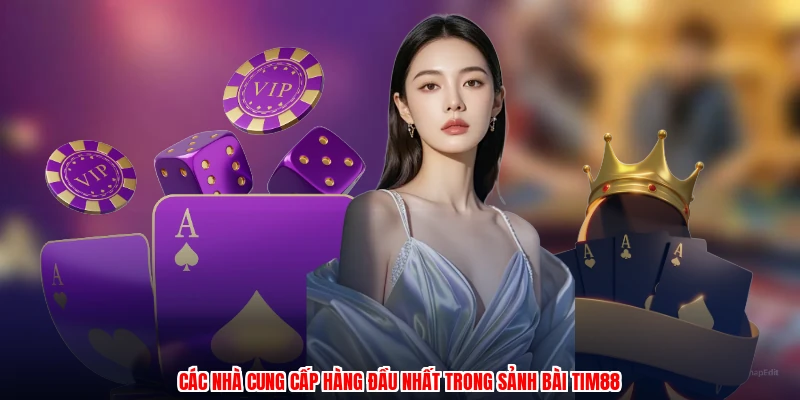 Các nhà cung cấp hàng đầu nhất trong sảnh bài TIM88