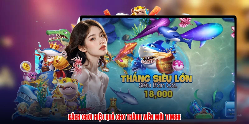Cách chơi hiệu quả cho thành viên mới thương hiệu