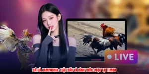 Đá Gà Campuchia: Luật Đấu Và Hình Thức Cược Tại Thương Hiệu
