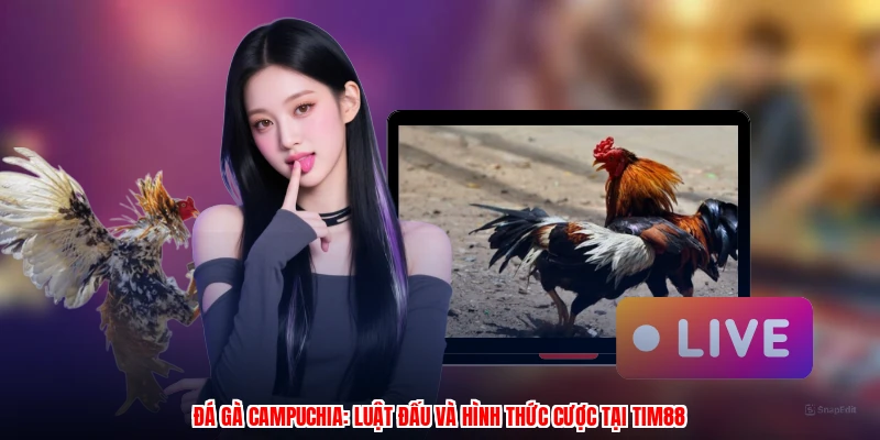 Đá Gà Campuchia: Luật Đấu Và Hình Thức Cược Tại Thương Hiệu
