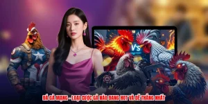 Đá Gà Mạng - Loại Cược Gà Nào Đang Hot Và Dễ Thắng Nhất