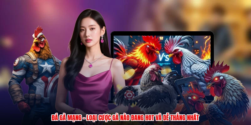 Đá Gà Mạng - Loại Cược Gà Nào Đang Hot Và Dễ Thắng Nhất