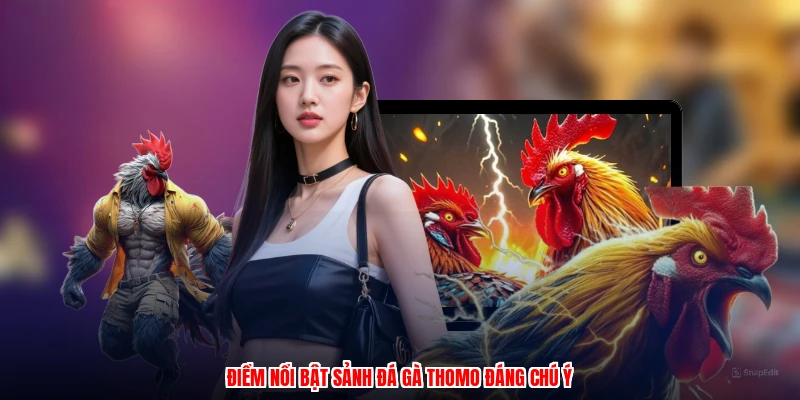 Điểm nổi bật sảnh đá gà thomo đáng chú ý