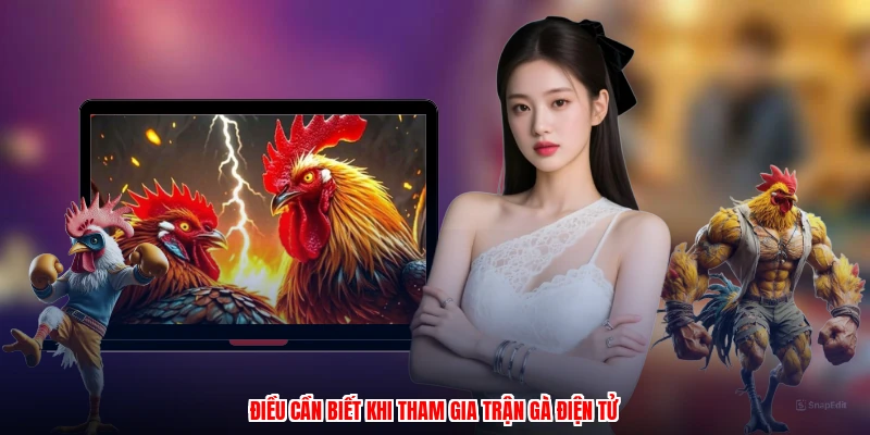 Điều cần biết khi tham gia trận gà điện tử