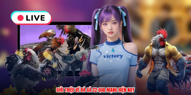 Giới thiệu về đá gà C2 qua mạng hiện nay