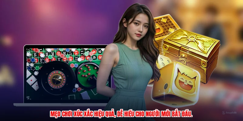 Mẹo chơi xúc xắc hiệu quả, dễ hiểu cho người mới bắt đầu.
