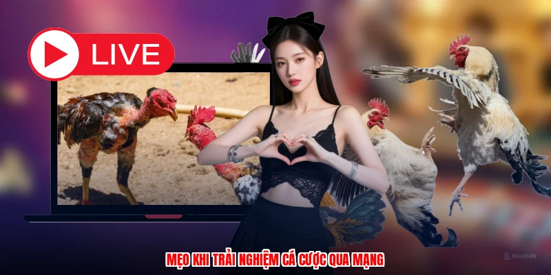 Mẹo khi trải nghiệm cá cược qua mạng