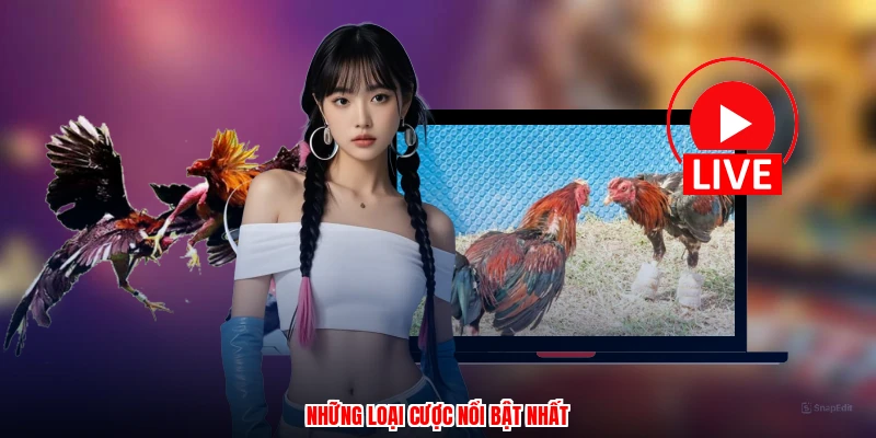 Những loại cược nổi bật nhất