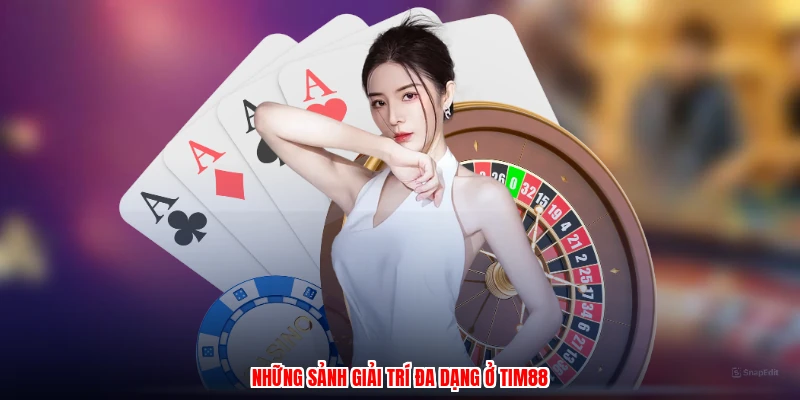 Những sảnh giải trí đa dạng ở TIM88
