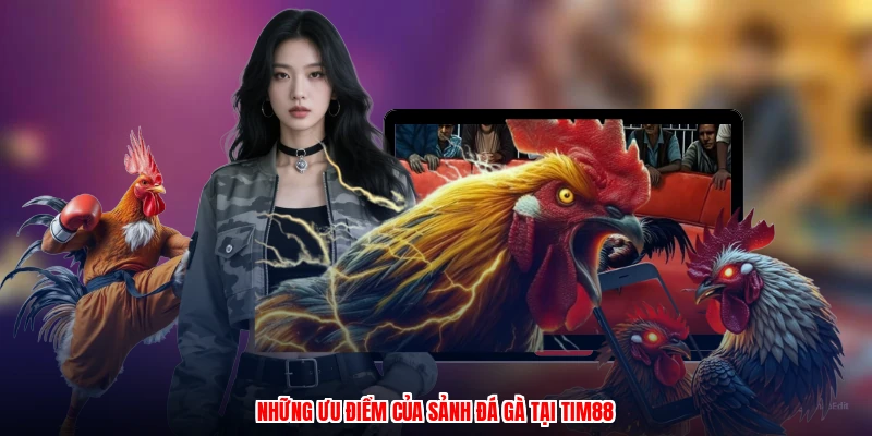 Những ưu điểm của sảnh đá gà tại thương hiệu