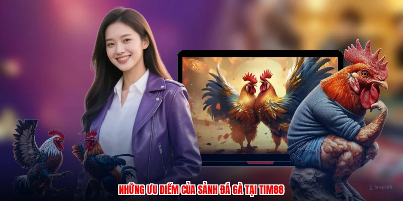 Những ưu điểm của sảnh đá gà tại thương hiệu