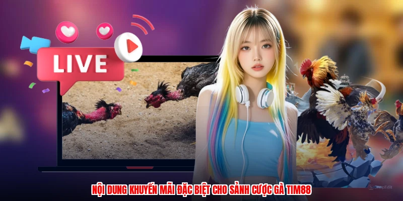 Nội dung khuyến mãi đặc biệt cho sảnh cược gà thương hiệu