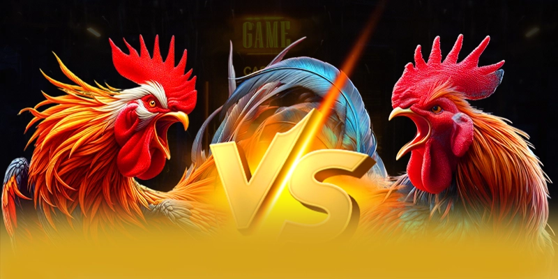 8xbet - Cổng game bài tốc độ cao tại Việt Nam