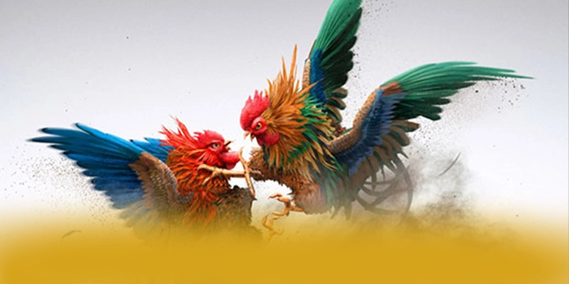 Hệ thống hỗ trợ người chơi tại W88 Hệ thống hỗ trợ người chơi tại W88