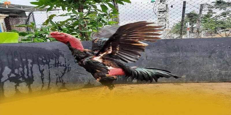 [THUONG_HIEU] - Cổng game hiện đại tại Việt Nam